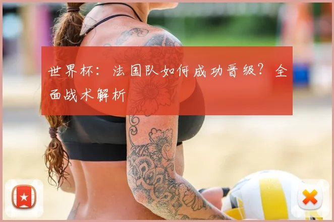 世界杯：法国队如何成功晋级？全面战术解析