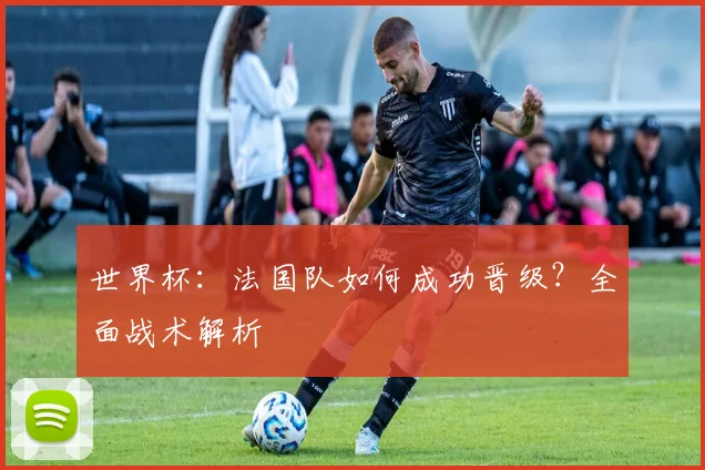世界杯：法国队如何成功晋级？全面战术解析